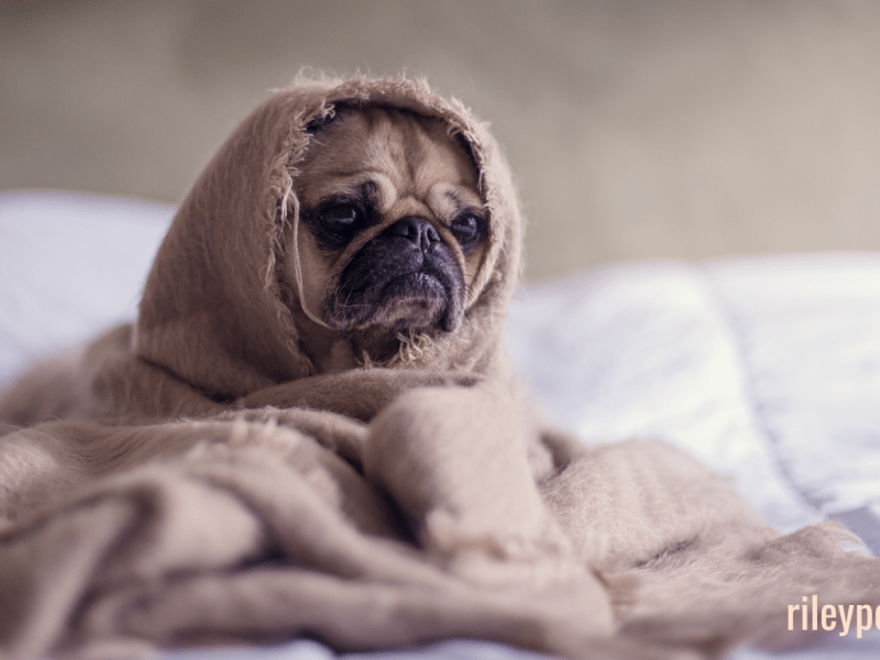 What to do When You Don’t Want to&nbsp;Workout